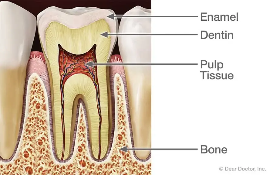 Prevention & Hygiene at East Greenwich Dental Associates, East Greenwich, Rhode Island.